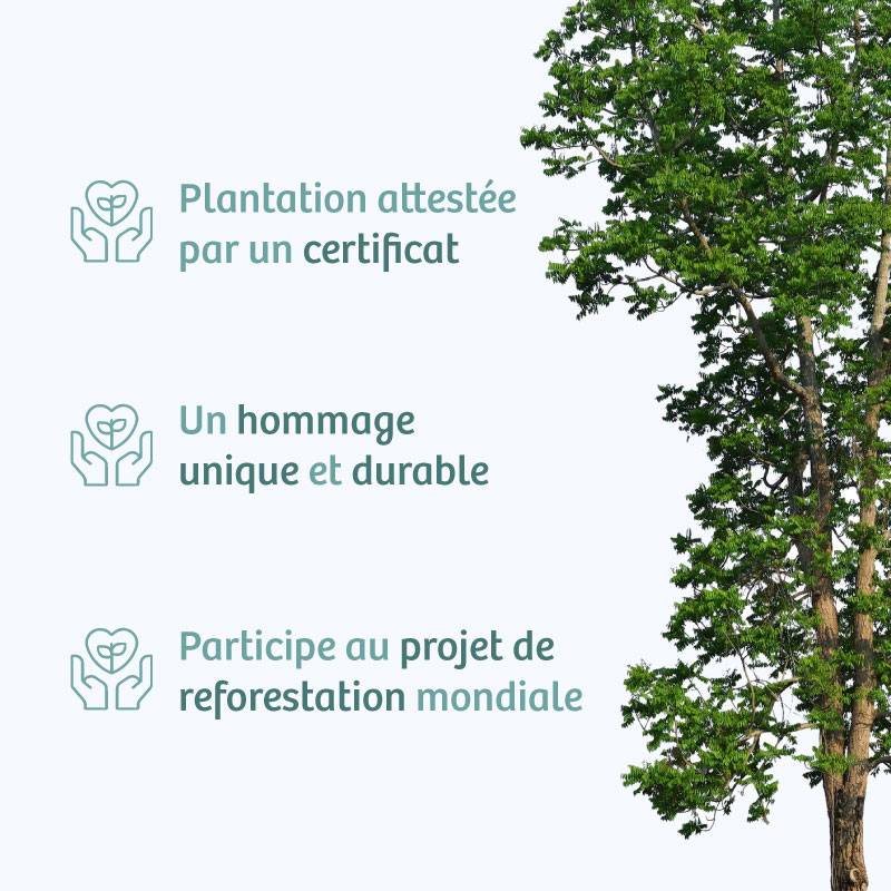 Planter un arbre en hommage à Frau Blanche Thiolat  Geboren e Vallee